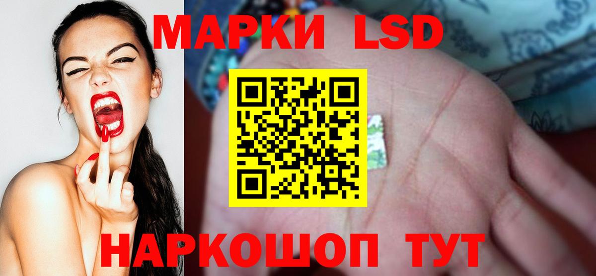 МЕТАДОН Фрязино