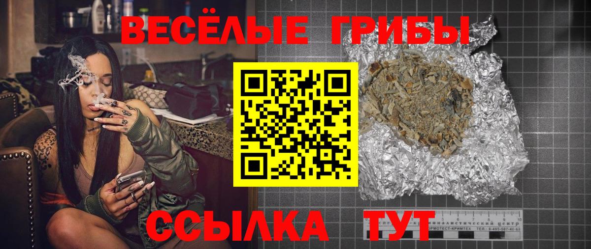 Галлюциногенные грибы Psilocybine cubensis Фрязино