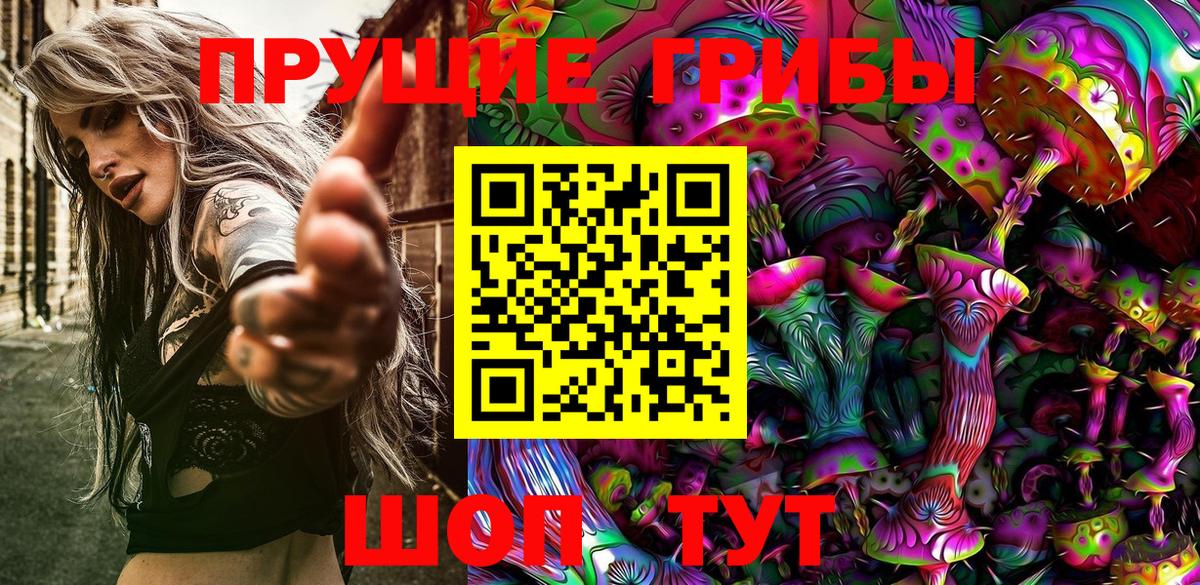 Фрязино  Псилоцибиновые грибы Psilocybine cubensis  Вход с VPN  купить наркотики цена  Псилоцибиновые грибы Psilocybine cubensis 